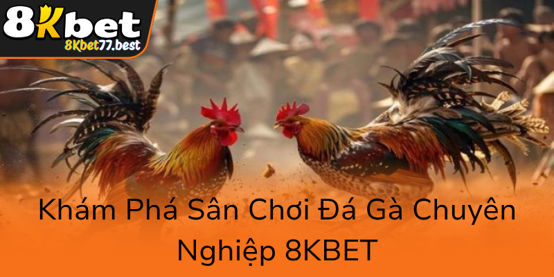 Kham Pha San Choi Da Ga Chuyen Nghiep 8Kbet0